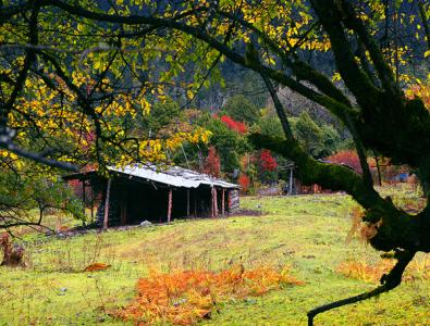 林芝阿里環(huán)線旅游汽車(chē)租賃.包車(chē).(圖文)